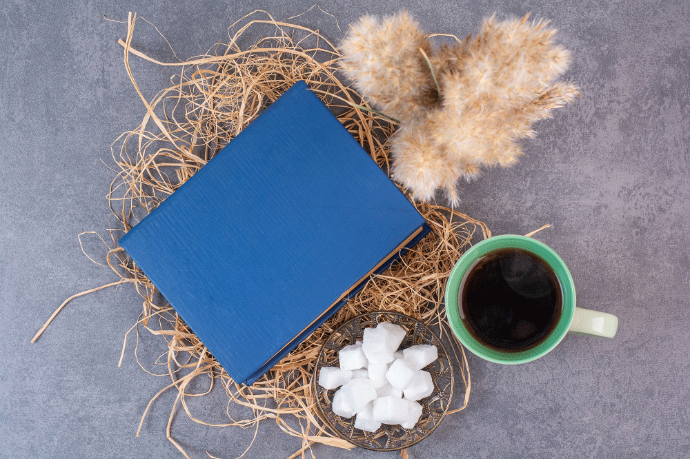 جلد شومیز کتاب چیست